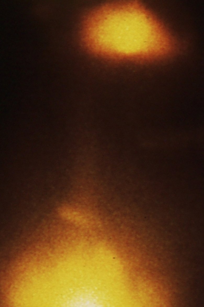 Poster of She Was A Visitor