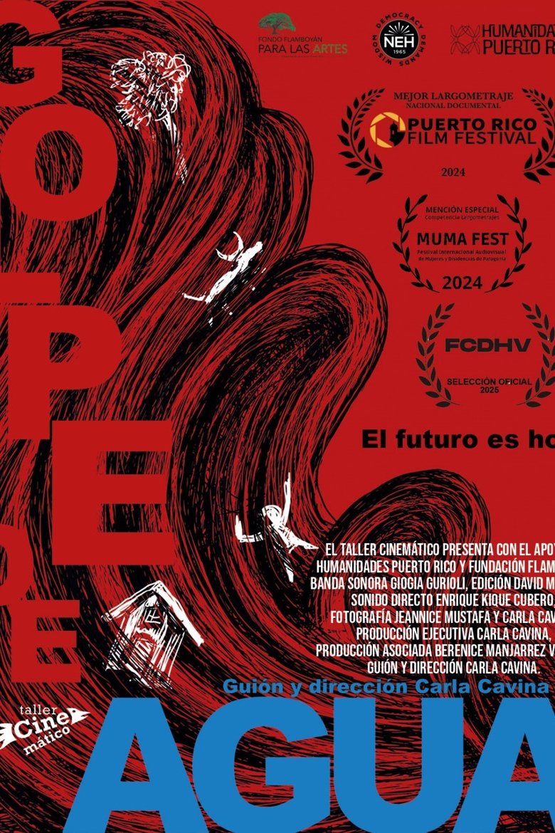 Poster of Golpe de agua