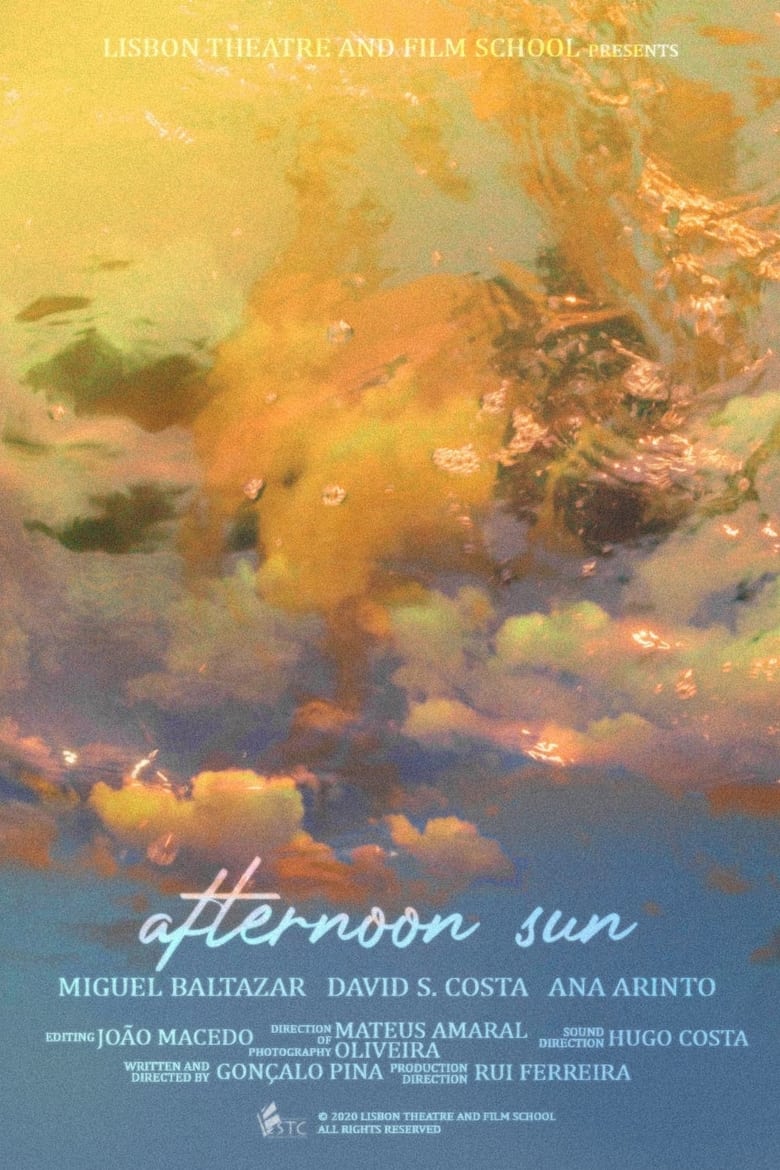 Poster of Afternoon Sun