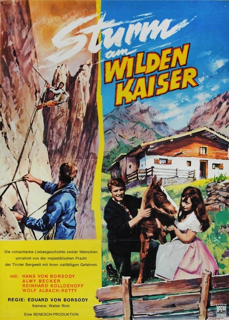 Poster of Bergwind