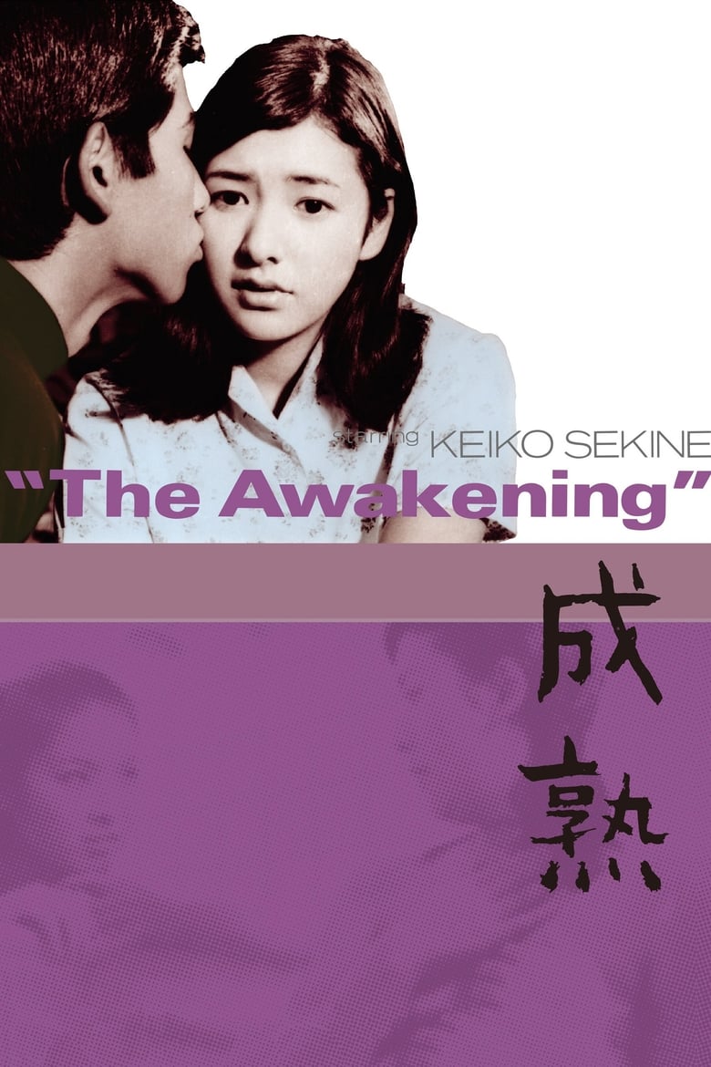 Poster of The Awakening