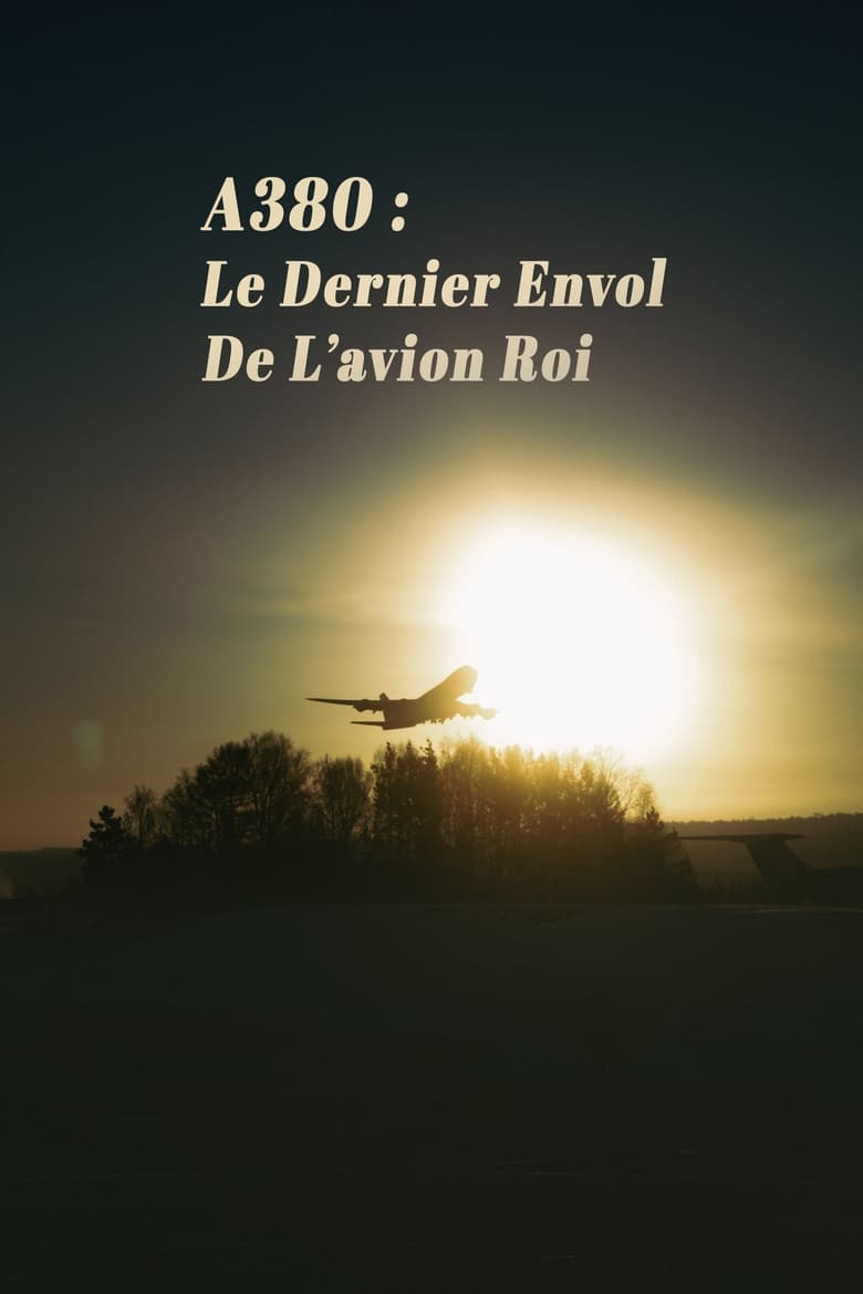 Poster of A380 : Le Dernier Envol de lavion roi