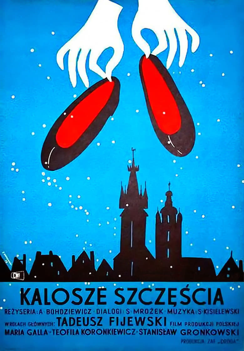 Poster of Kalosze szczęścia