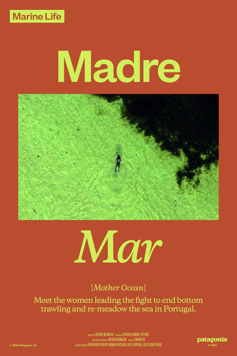 Poster of Madre Mar