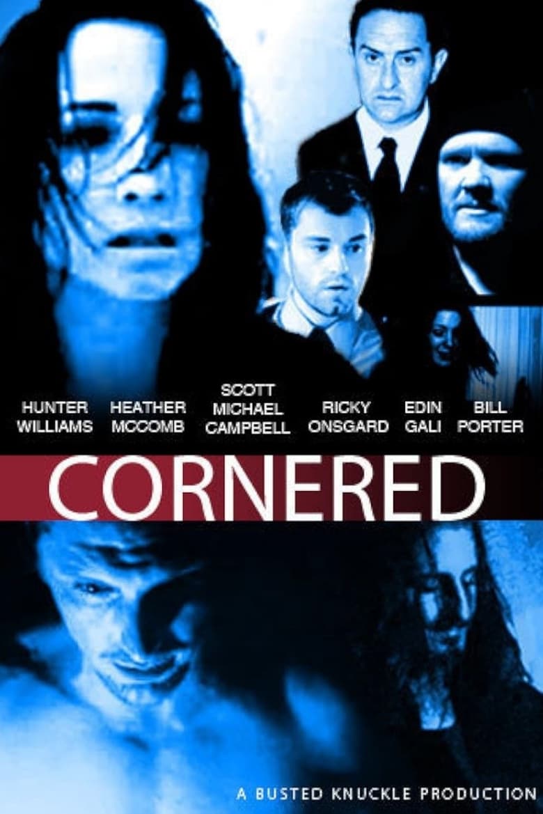 Poster of Cornered