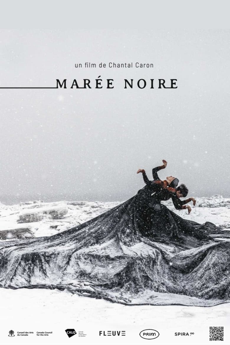 Poster of Marée Noire