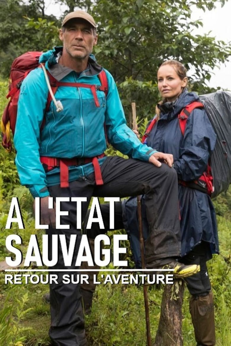 Poster of À l'état sauvage - Retour sur l’aventure