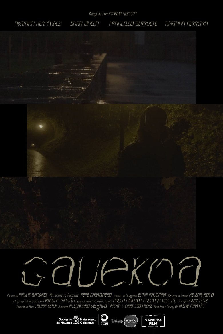 Poster of Gauekoa