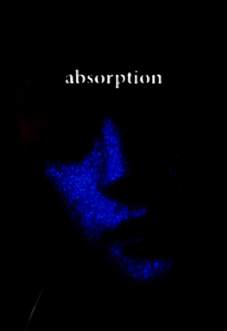 Poster of Absorption