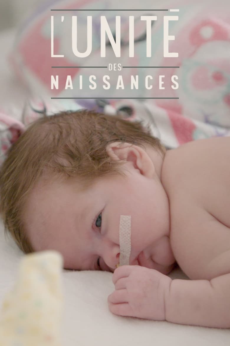 Poster of L'Unité des naissances