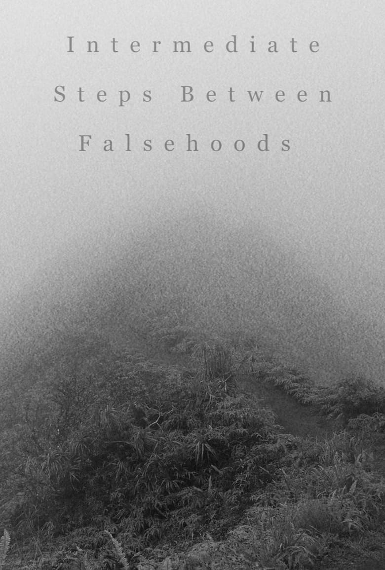 Poster of Intermediate Steps Between Falsehoods