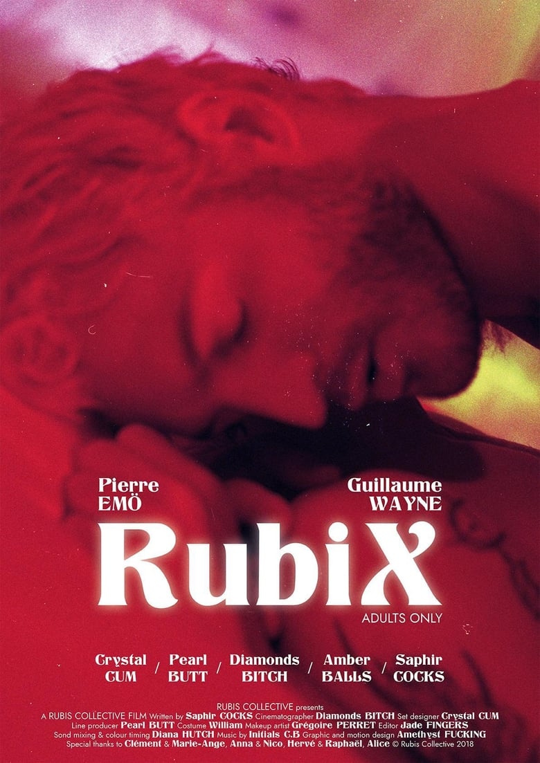 Poster of RubiX