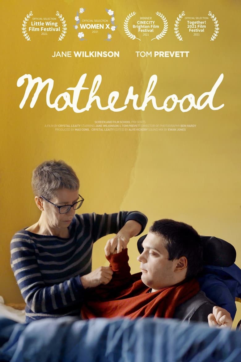 Poster of Motherhood