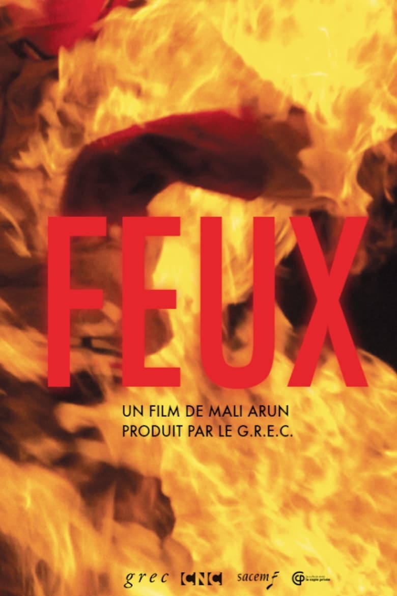 Poster of Feux