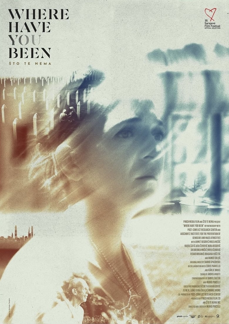 Poster of Where Have You Been