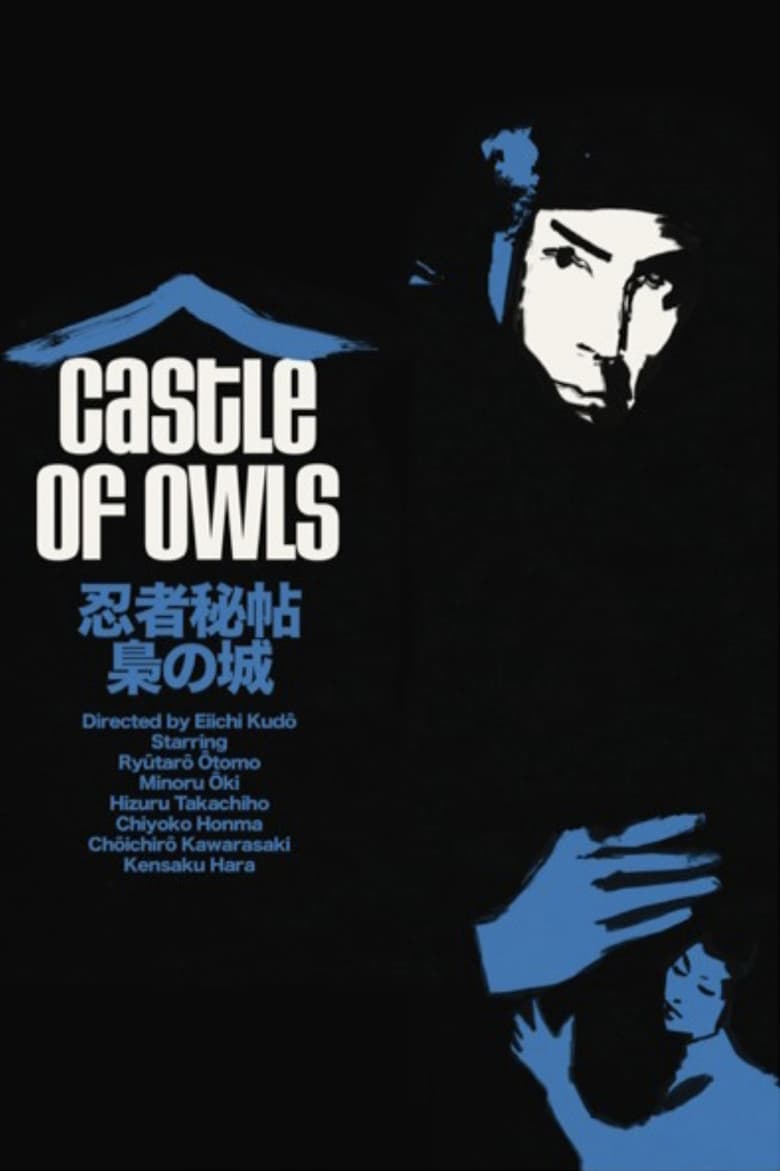 Poster of Castle of Owls