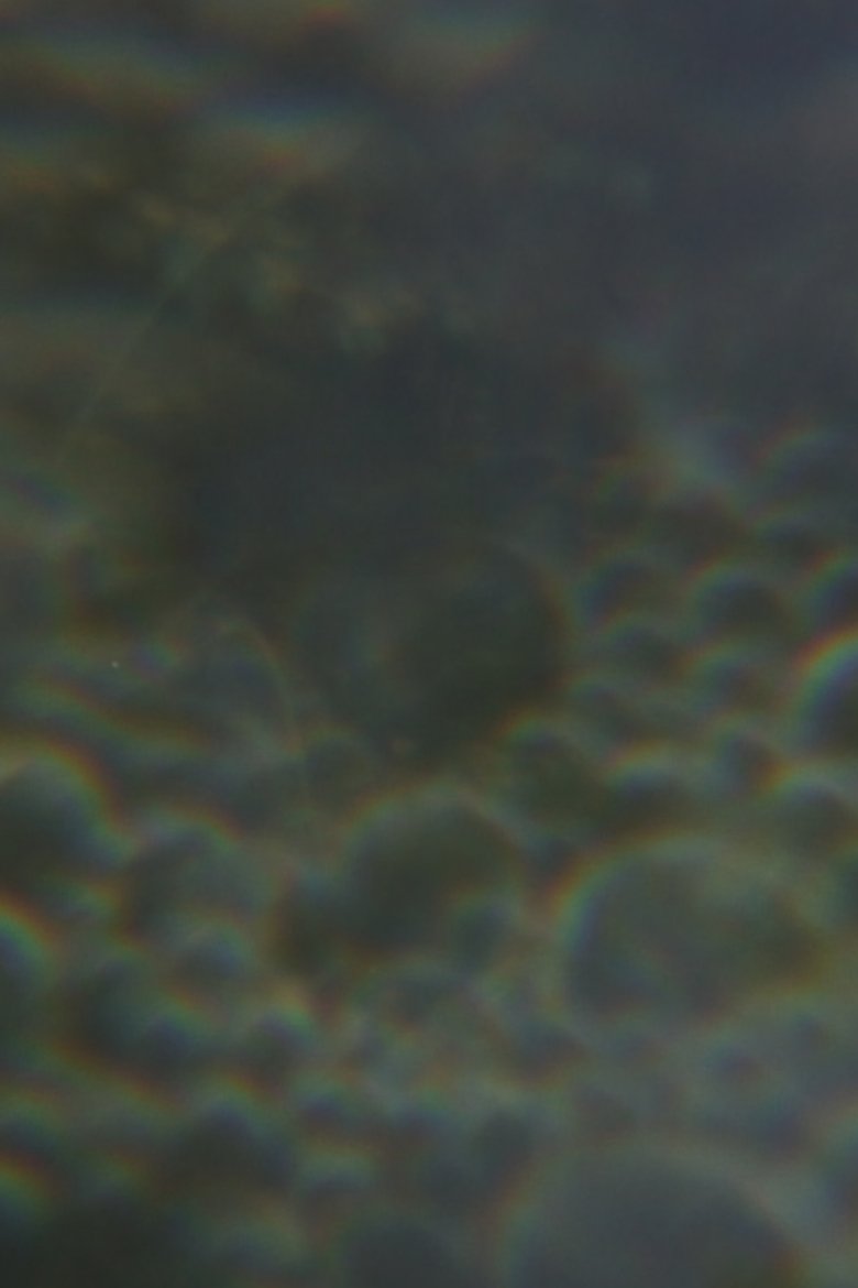 Poster of The Nursery of Worlds