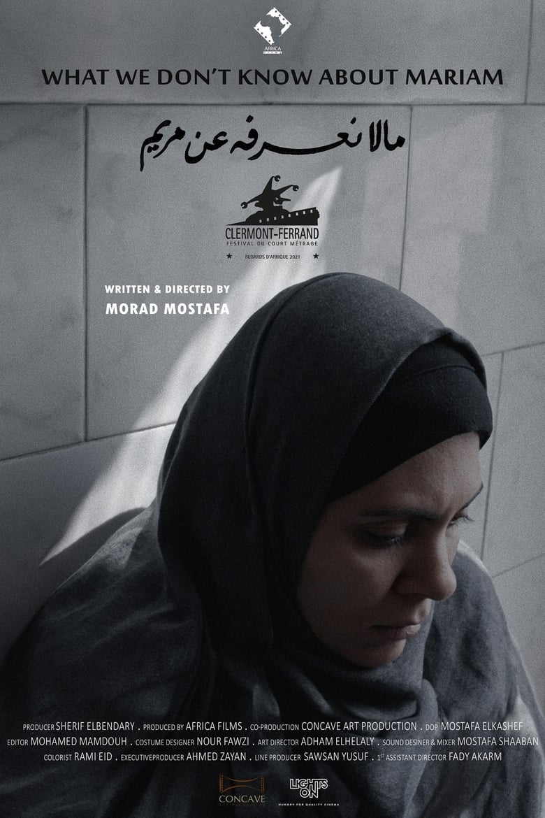 Poster of What We Don't Know About Mariam