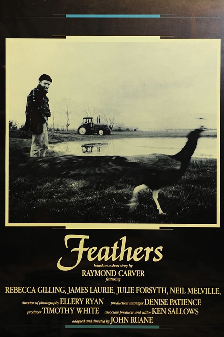 Poster of Feathers