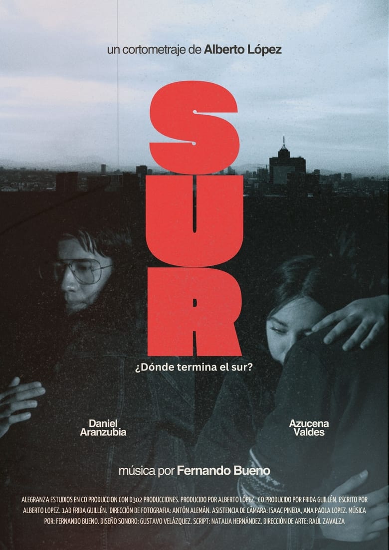 Poster of Sur