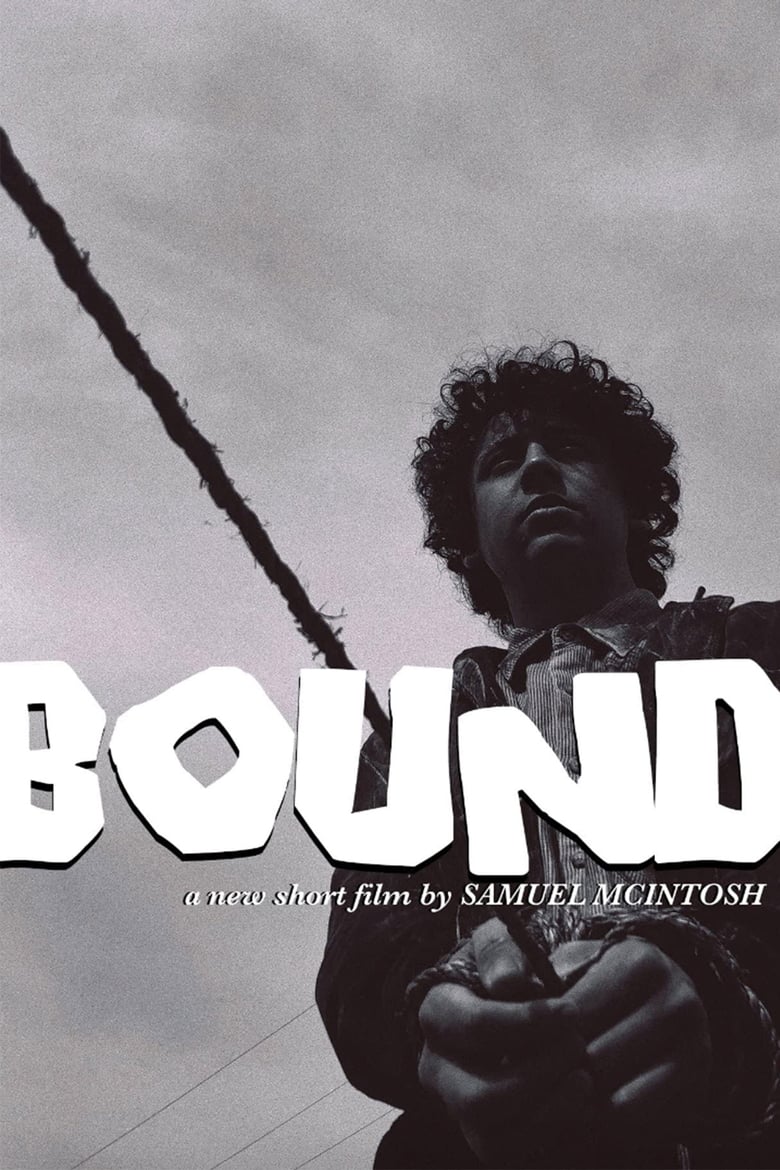 Poster of Bound