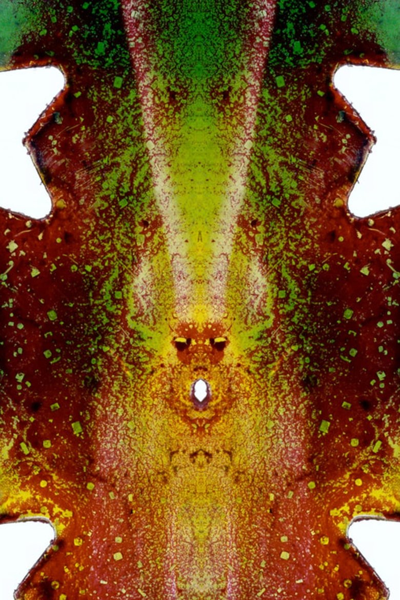 Poster of My Stars