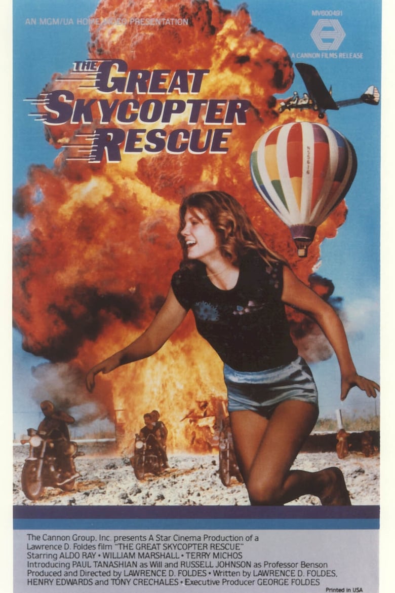 Poster of The Great Skycopter Rescue