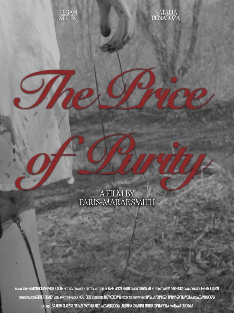 Poster of The Price of Purity