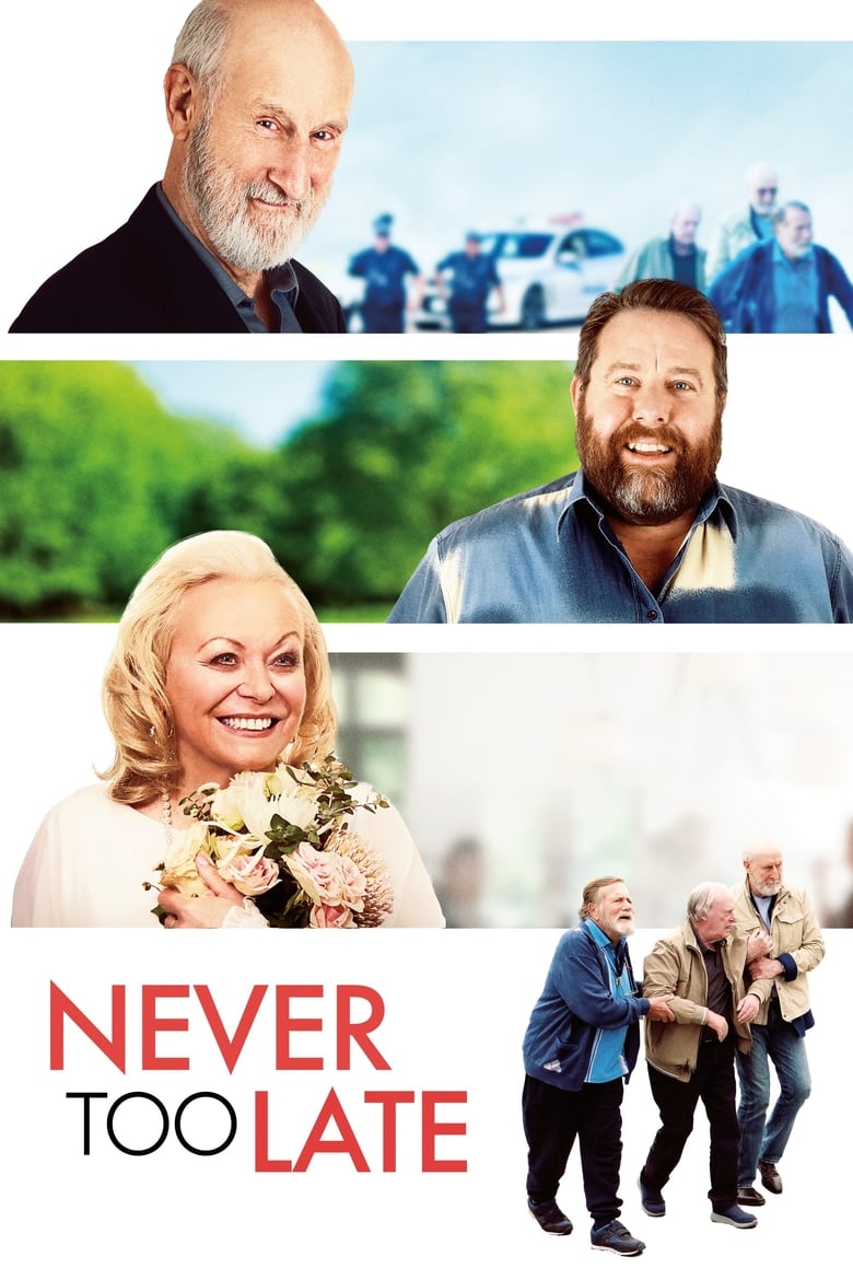 Poster of Never Too Late