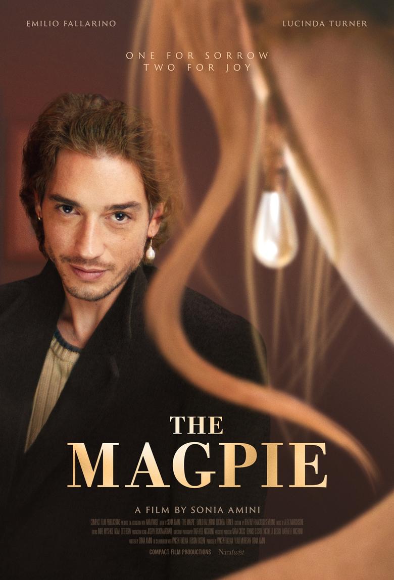 Poster of The Magpie