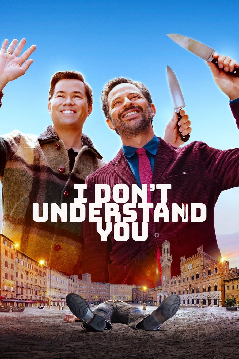 Poster of I Don't Understand You