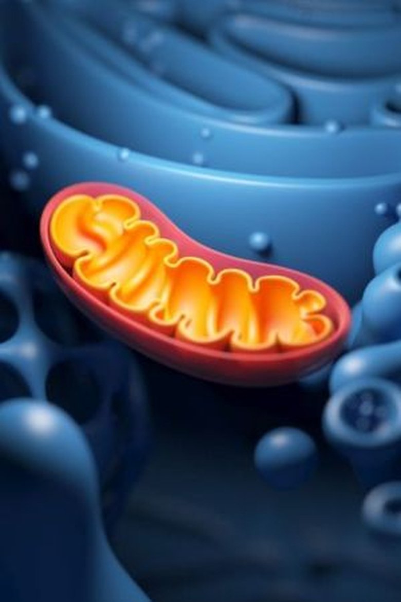 Portrait of Тони