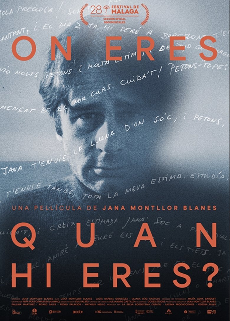 Poster of On eres quan hi eres?