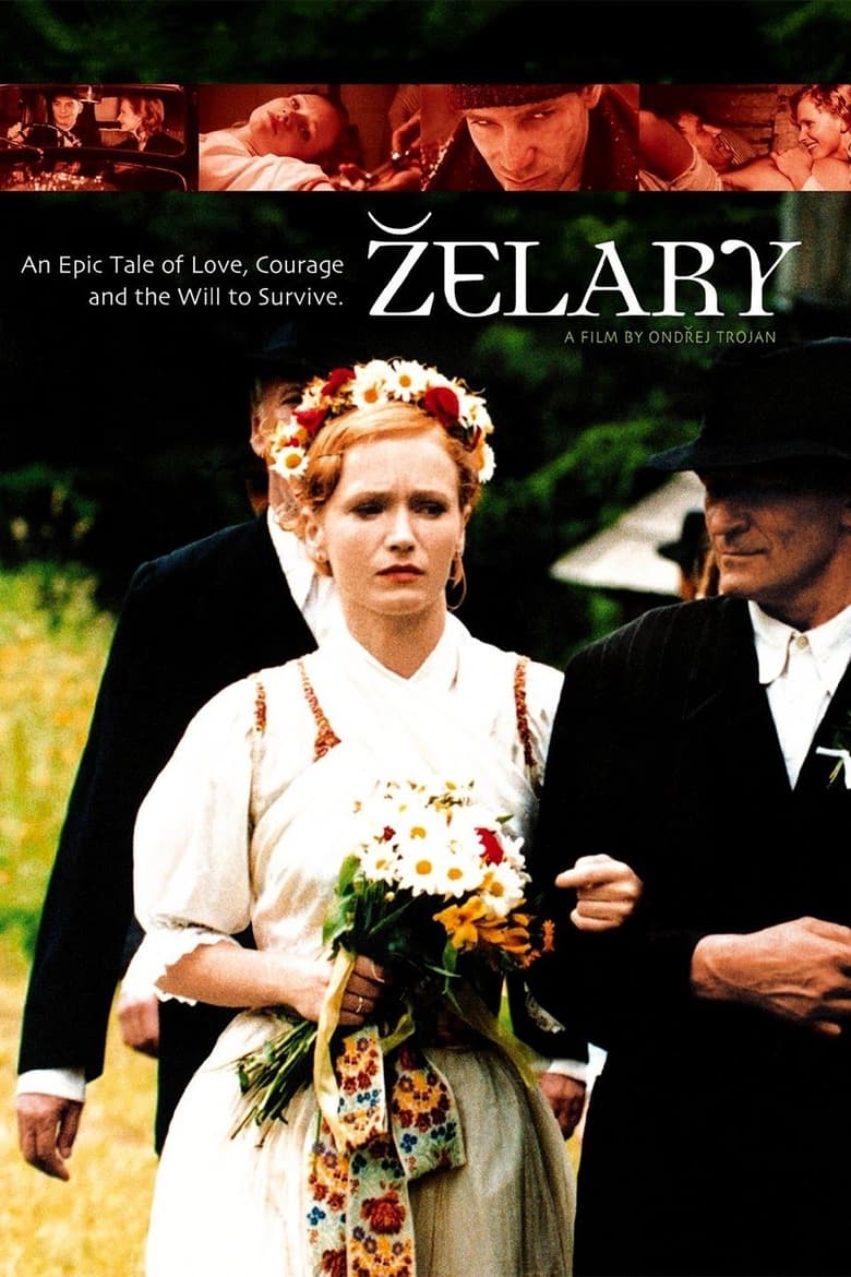 Poster of Zelary