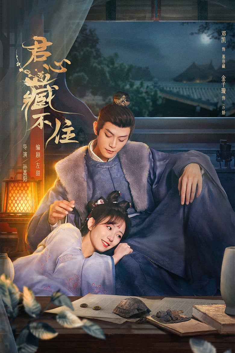 Poster of Governor's Secret Love