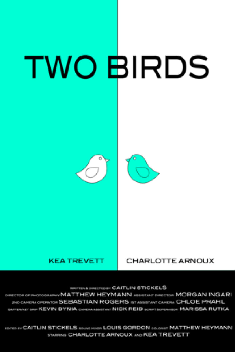 Poster of Two Birds