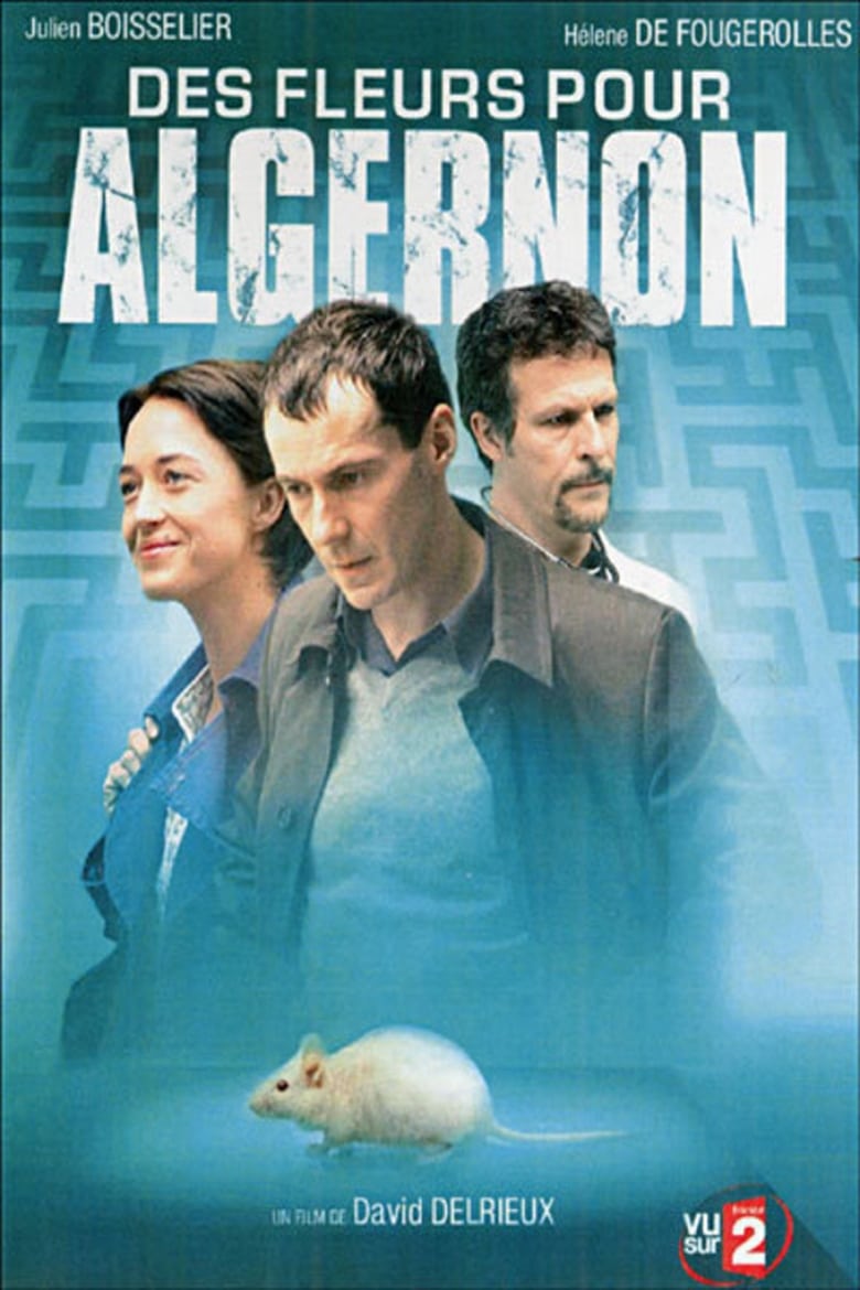 Poster of Des fleurs pour Algernon