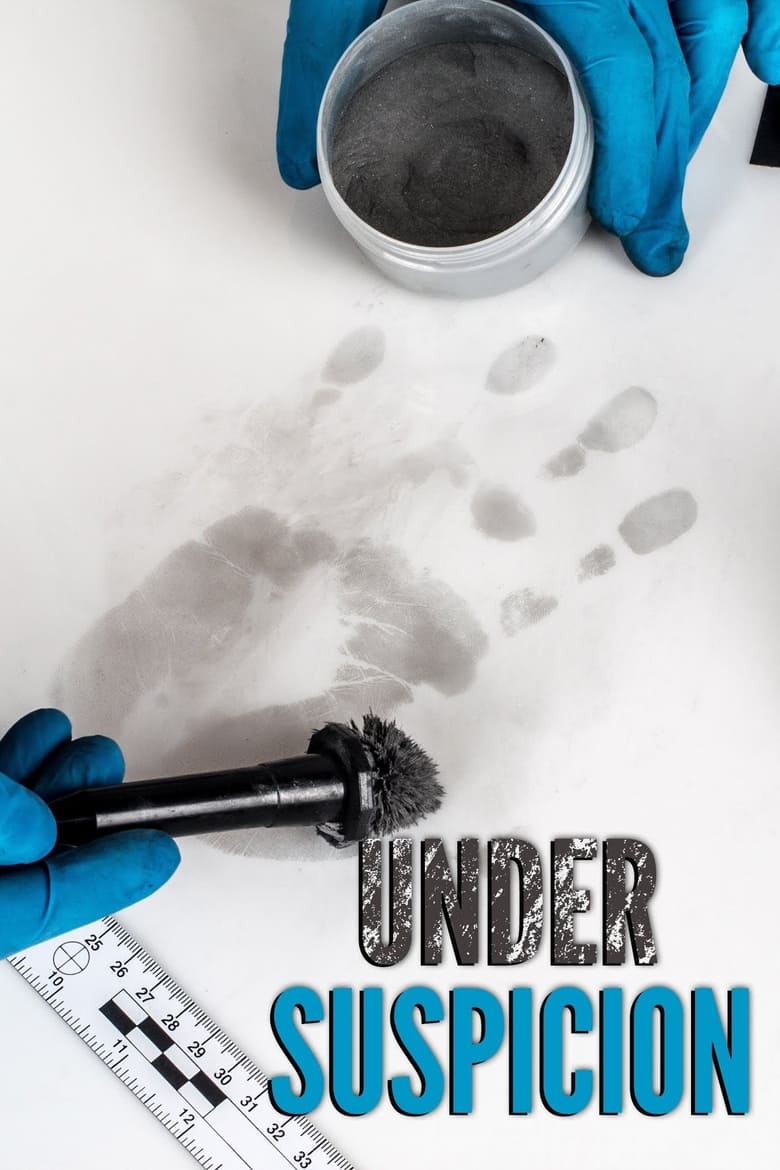 Poster of Under Suspicion