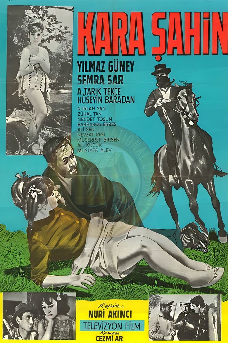 Poster of Kara Şahin