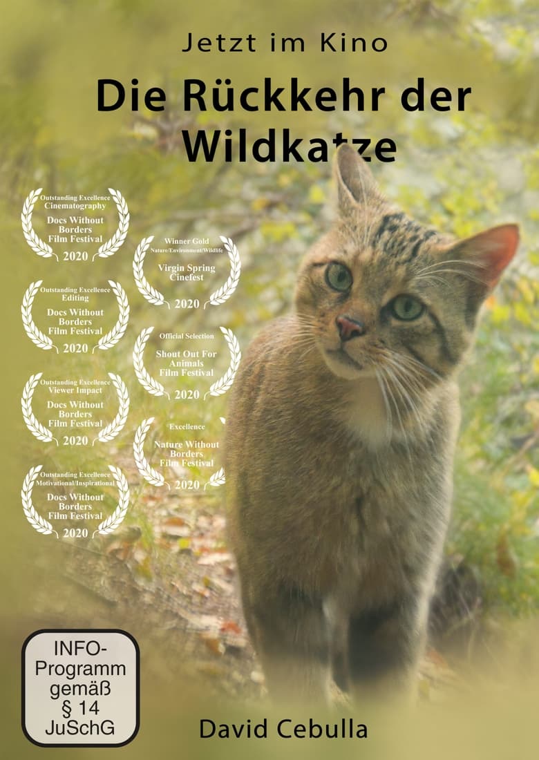 Poster of The Return of the Wildcat