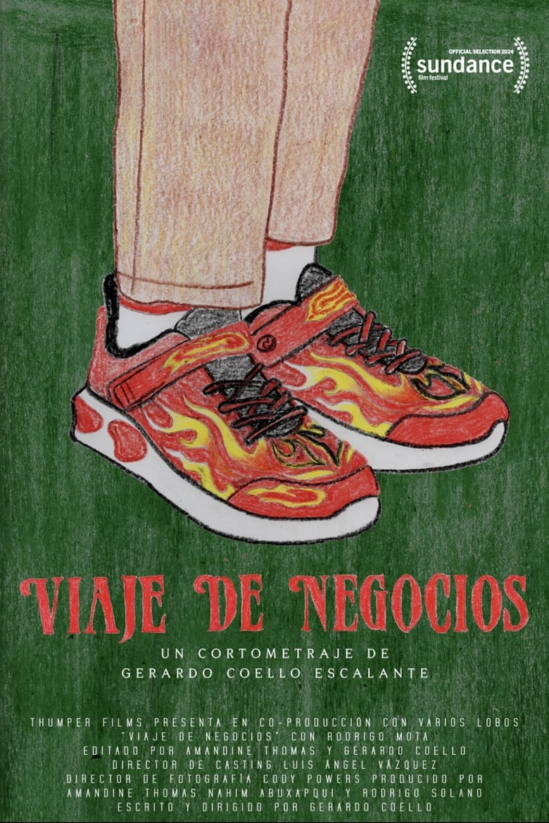 Poster of Viaje de Negocios