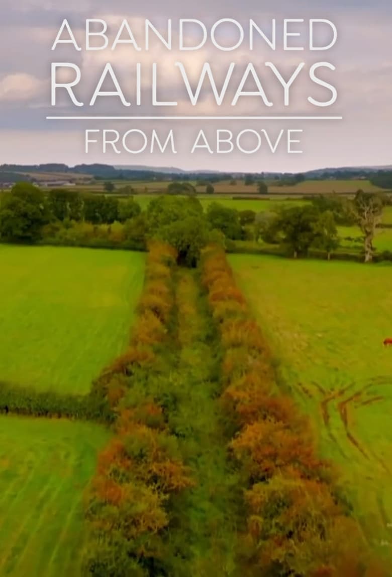 Poster of Abandoned Railways from Above