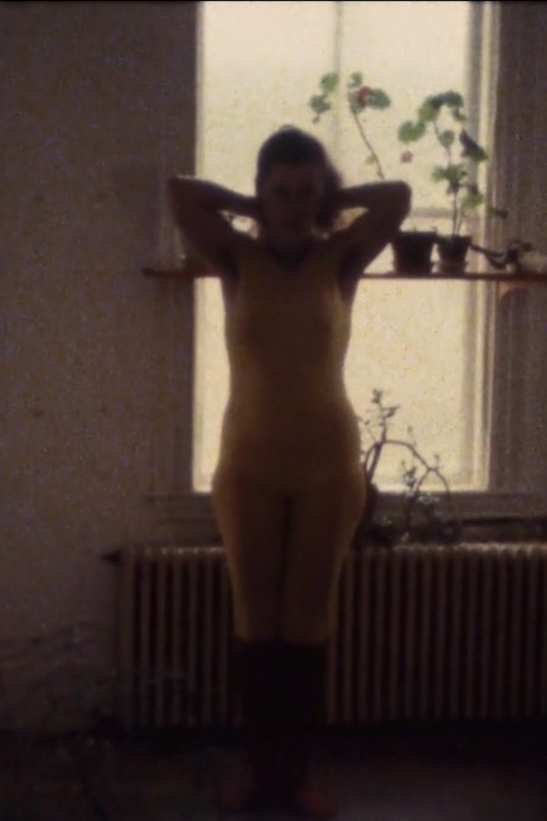 Poster of Five Year Diary, Reel 3: Christmas 1981 New Year 1982 (December 22, 1981–January 9, 1982)