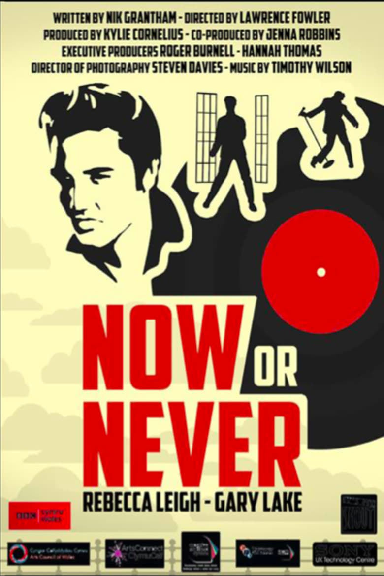 Poster of Now or Never