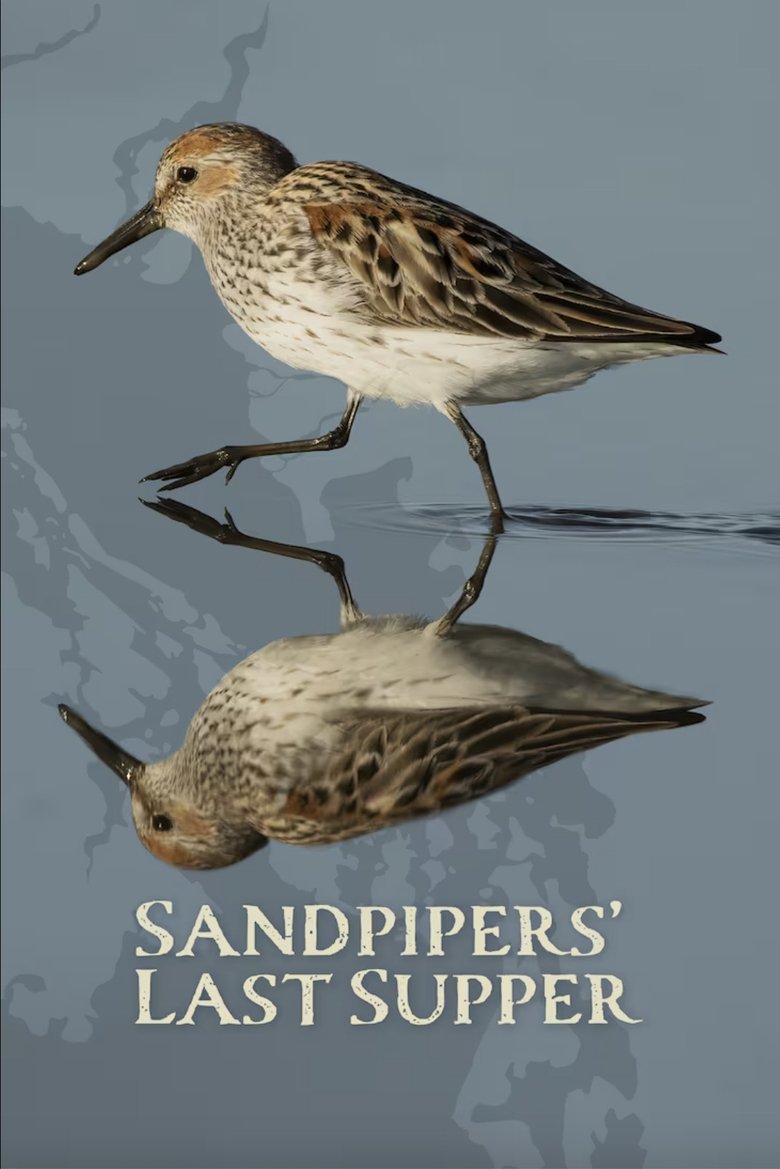 Poster of Sandpipers' Last Supper