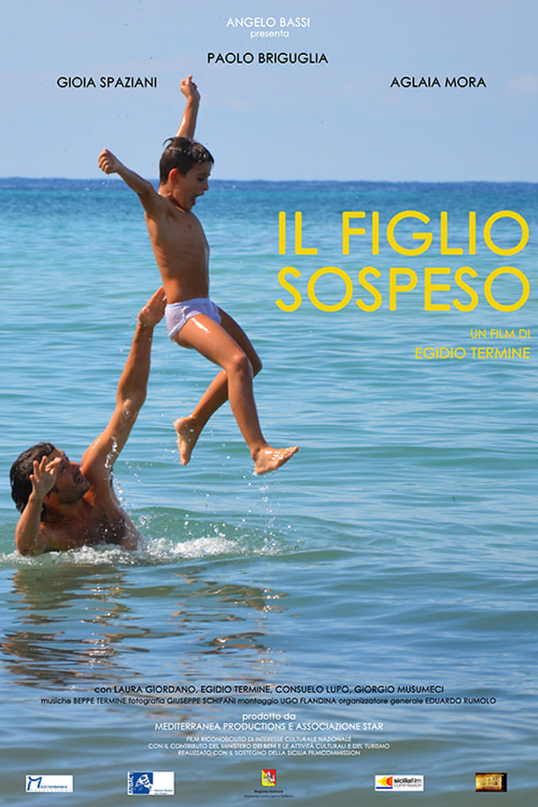 Poster of Il figlio sospeso