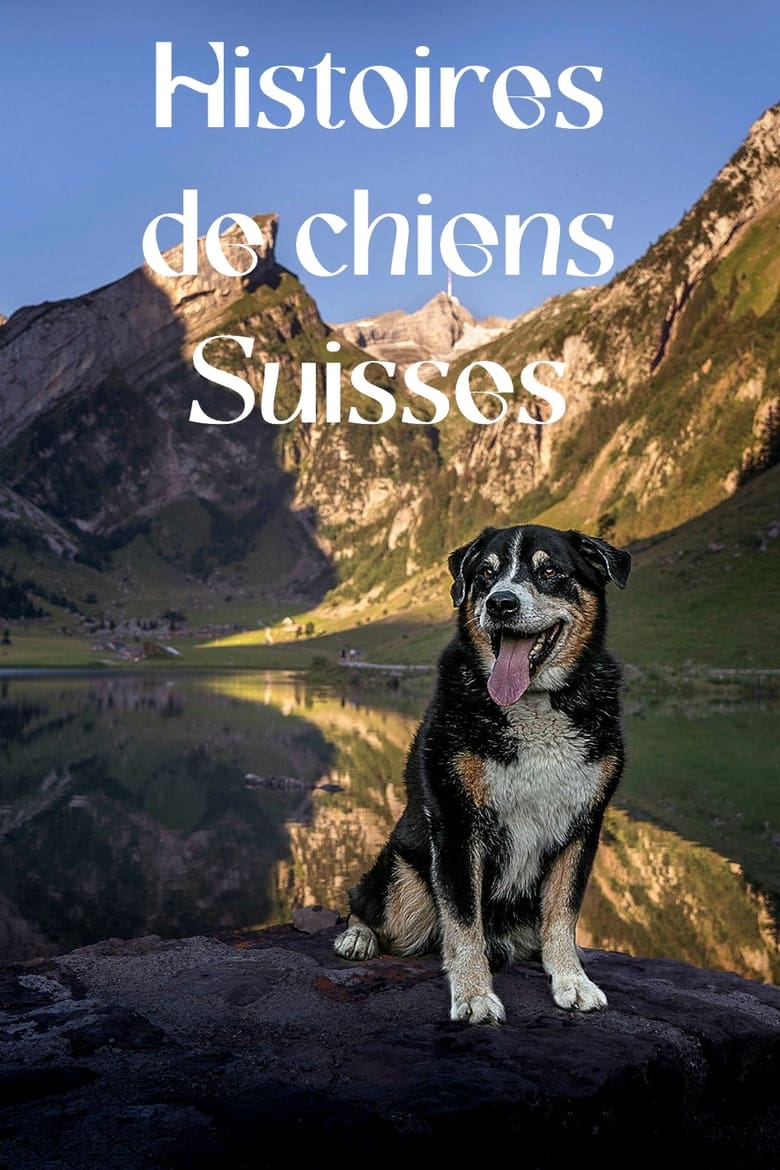 Poster of Schweizer Hundegeschichten