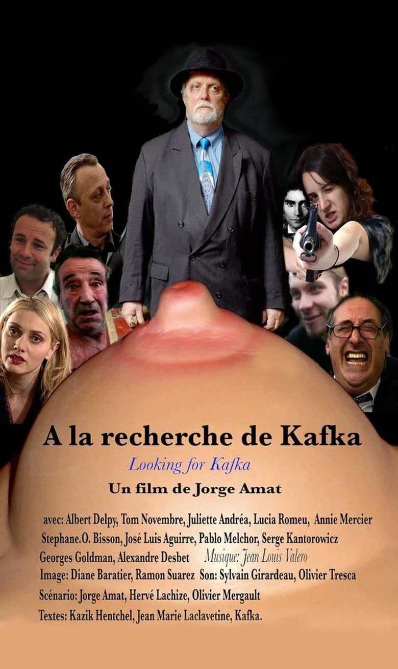 Poster of Looking for Kafka