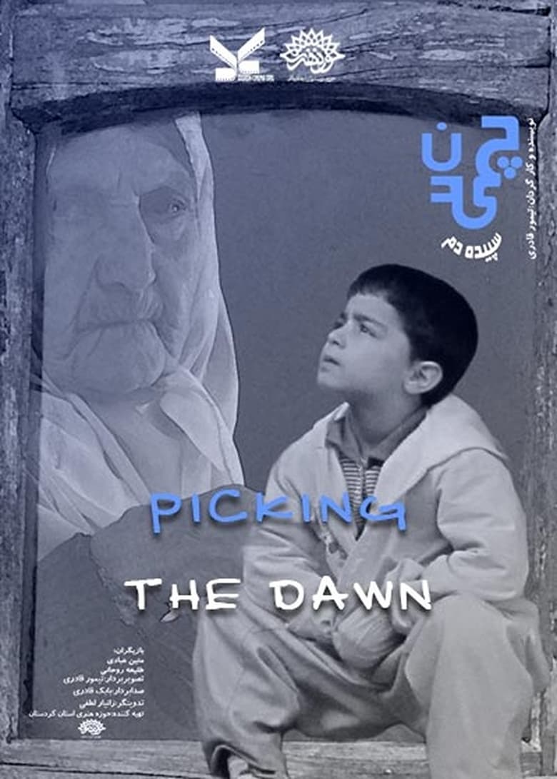 Poster of Picking the Dawn