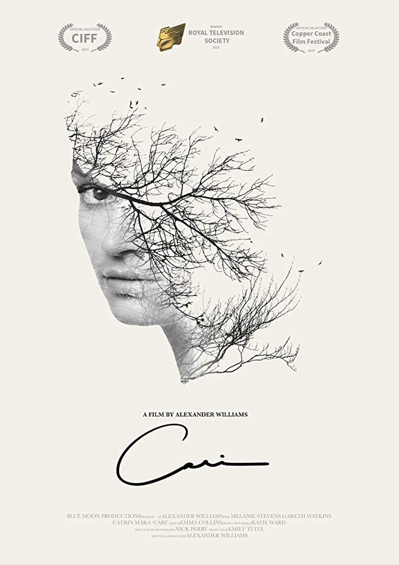 Poster of Cari
